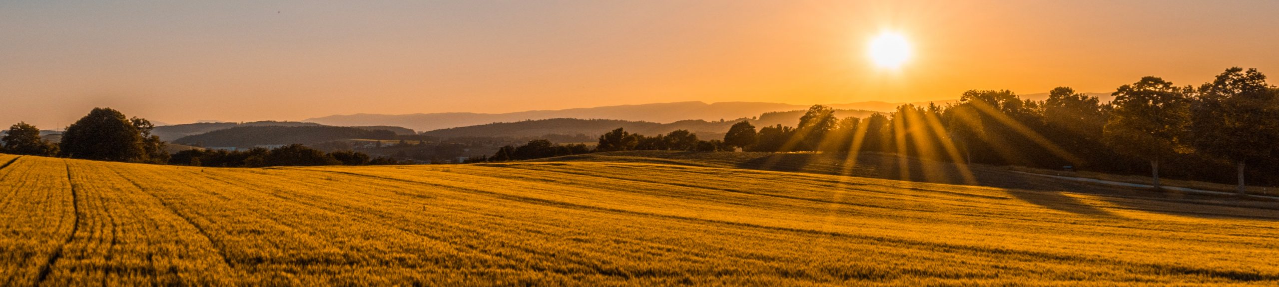 Aziende agrituristiche venatorie